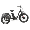 Fat Tire Electric Tricycle for Man/Woman with High Power 48V750W